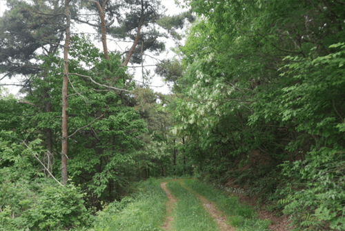 변산반도우금암24