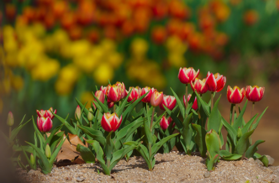 아이가 스마트폰을 보고 있는 모습