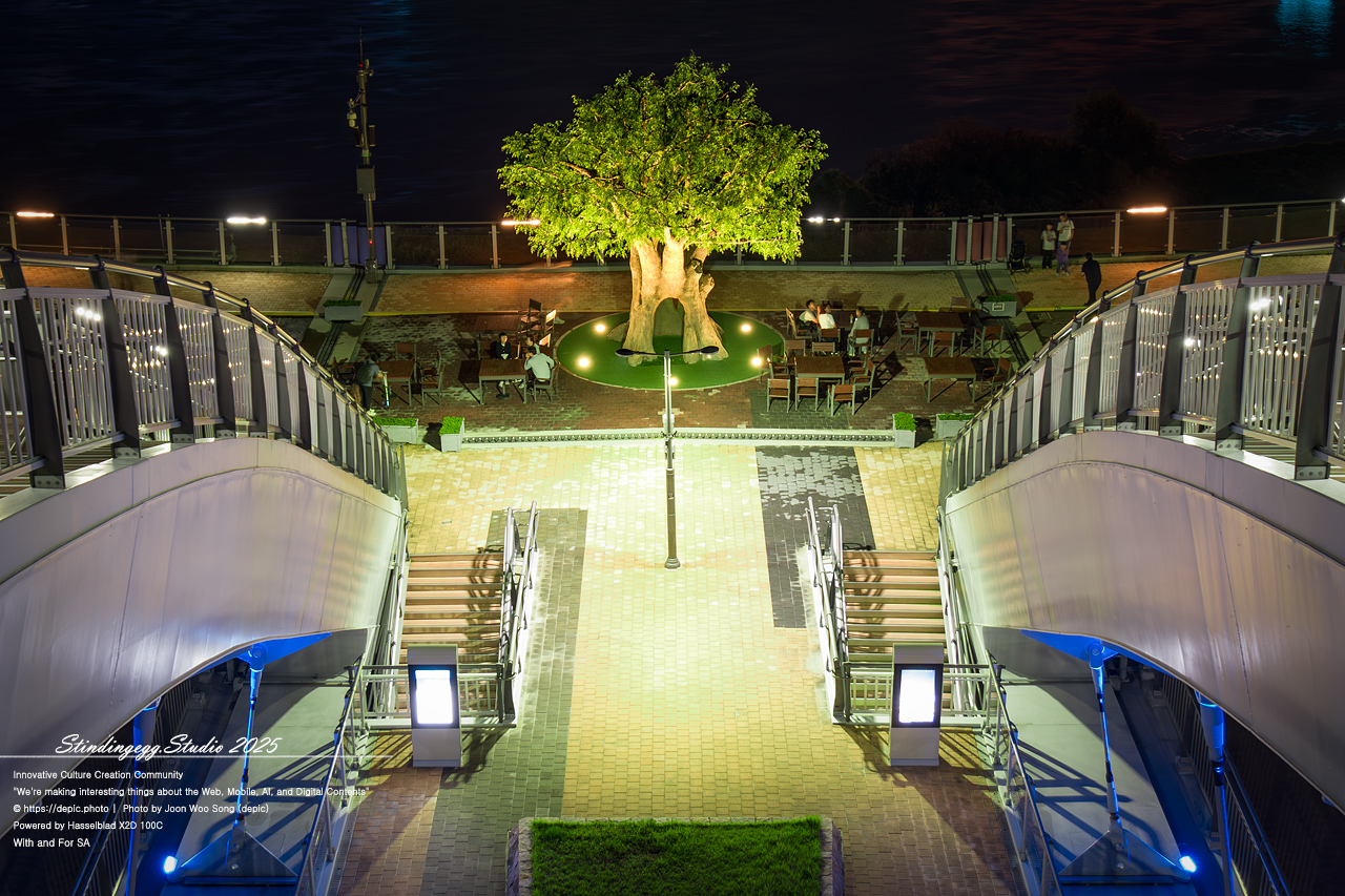 #세종 #이응교 #금강보행교 #SA