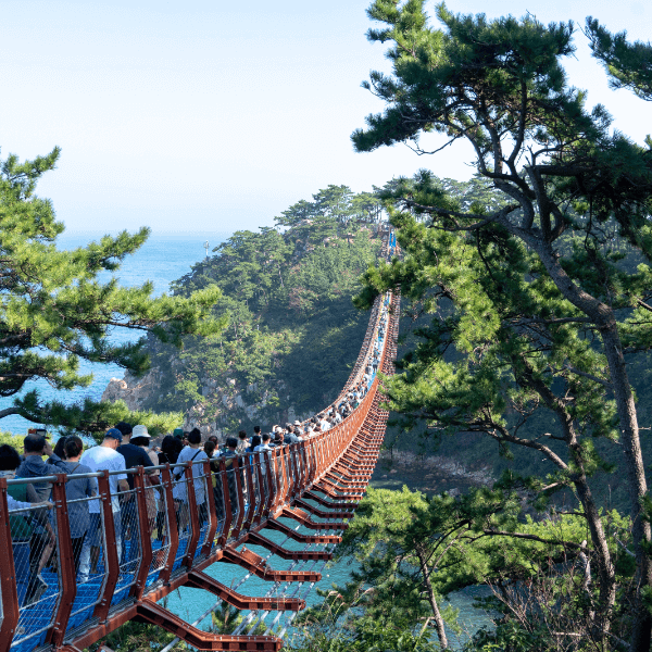 울산-대왕암출렁다리