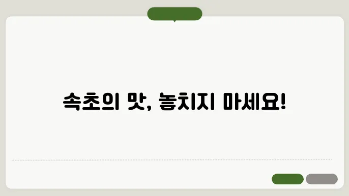 속초 맛집 베스트10