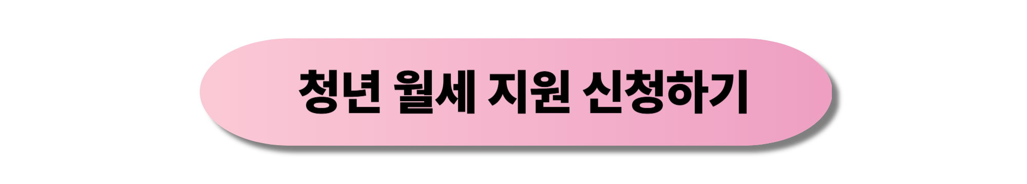 청년 월세 지원