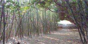 장사도 병풍도 녹도 대장도 내도 월등 연홍도 거문도 욕지도 가는 방법5