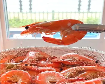 홍성 남당항 대하축제_26