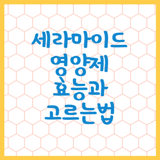 세라마이드 영양제 효능과 고르는 법