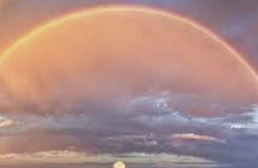 ISTP 유형 특징 분석