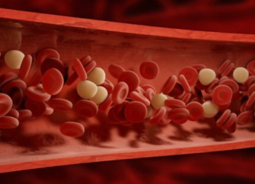 공진단-효능-먹는법-건강