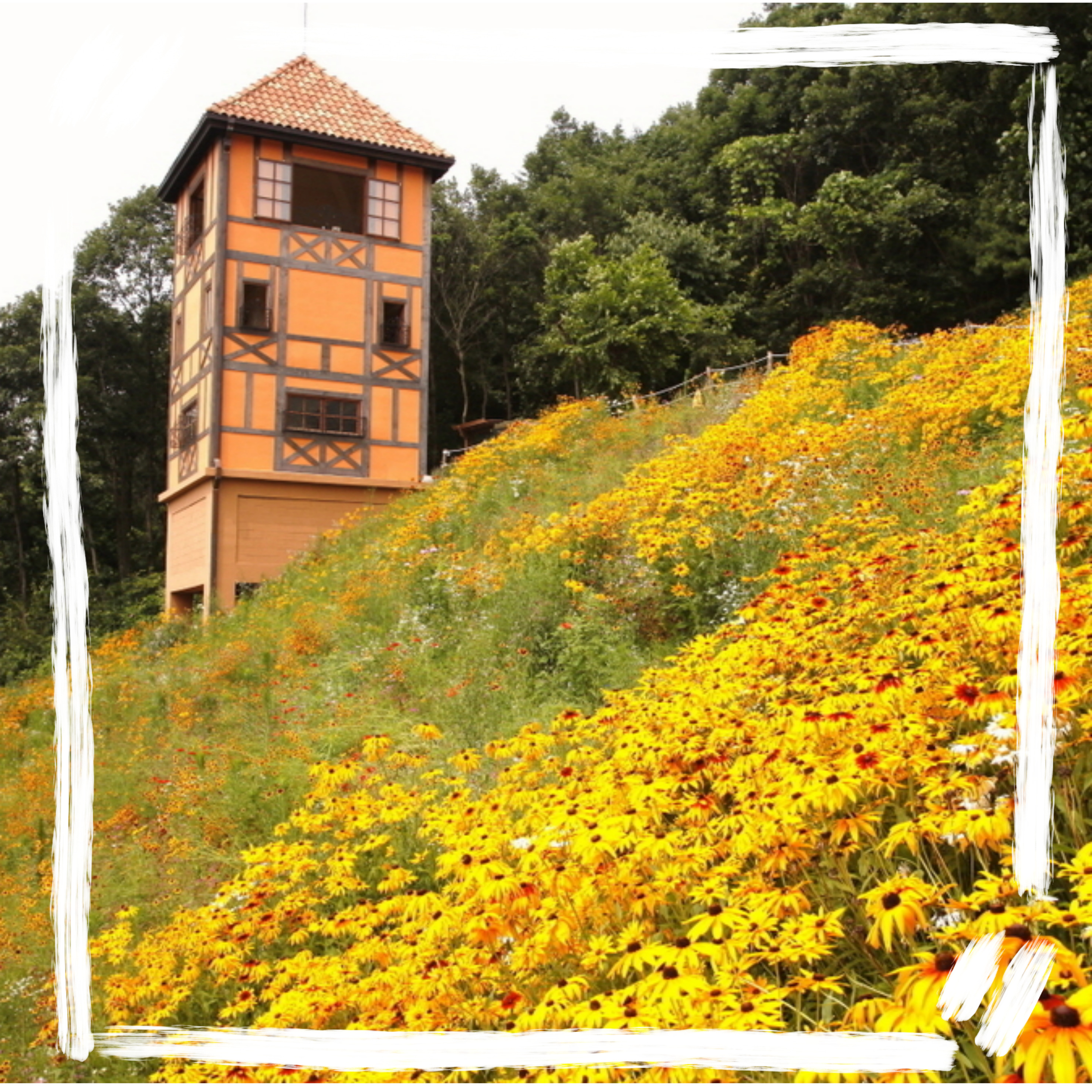 해외 같은 국내 여행지 추천