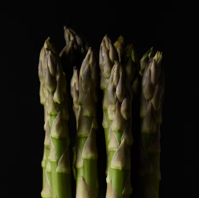 아스파라거스 효능 사랑받는 6가지 고르는법 부작용