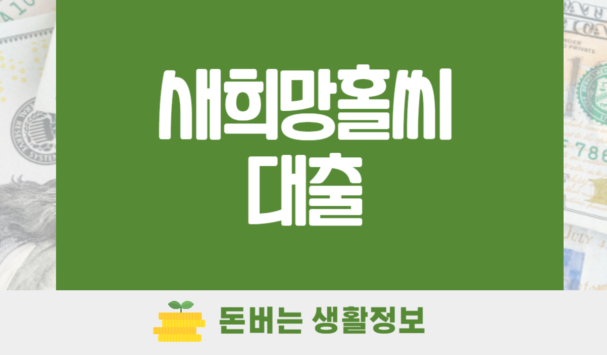 새희망홀씨 대출