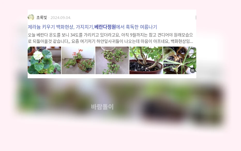 베란다 정원_3_subsection