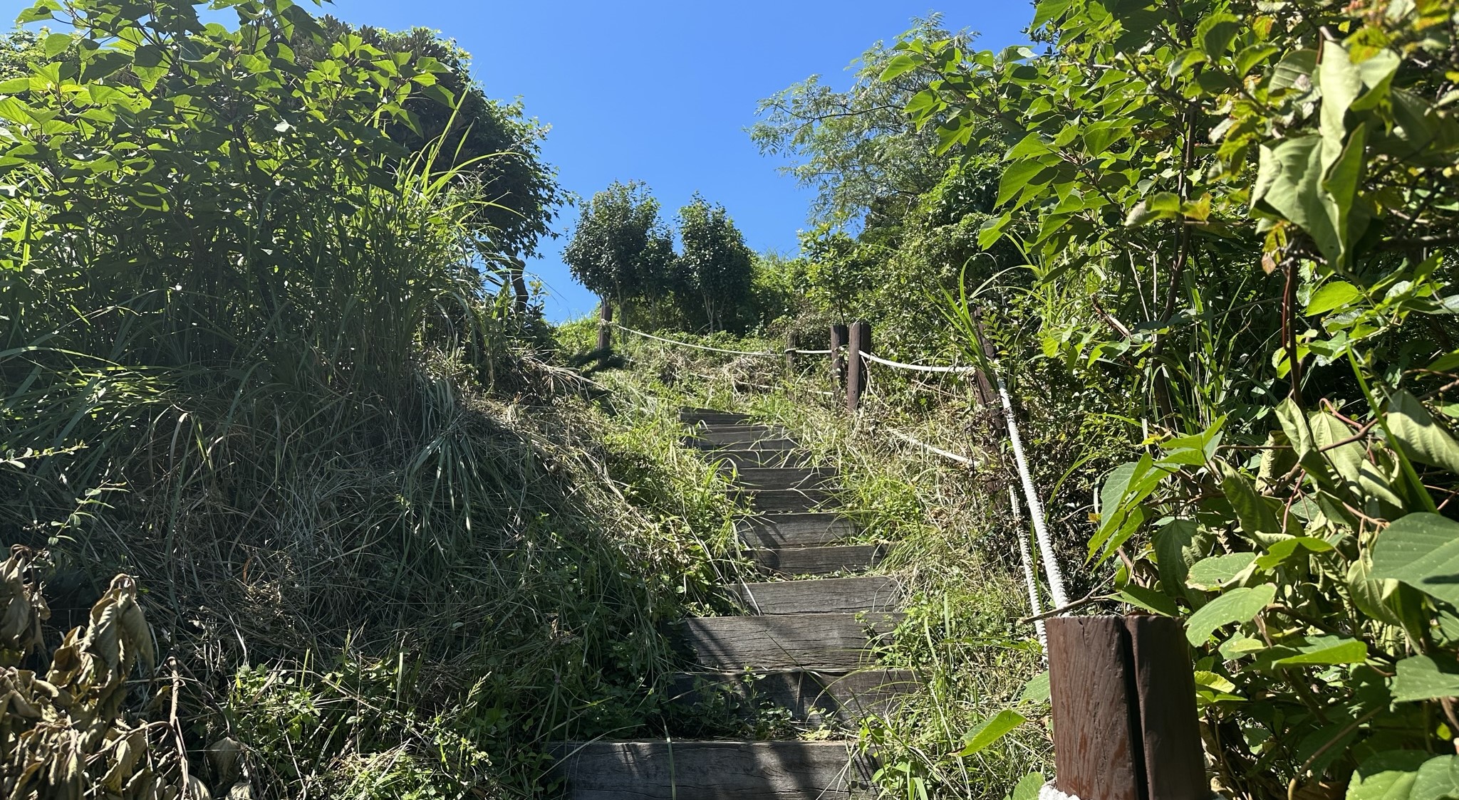 정상입구