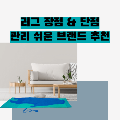 러그-장점-단점-관리-쉬운-브랜드-추천