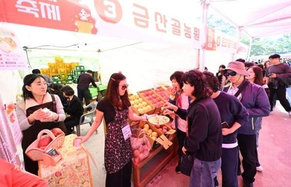 생방송투데이 문경사과축제 총정리｜2026 축제 일정&middot;장소&middot;주차&middot;감홍사과 가격&middot;사과따기 체험