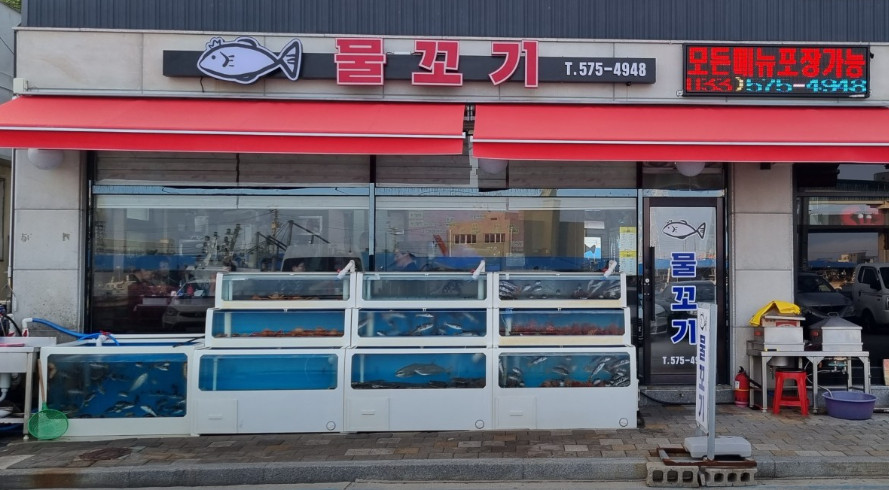 백반기행 삼척 생선구이 한상 맛집(생선구이+물회+덮밥)