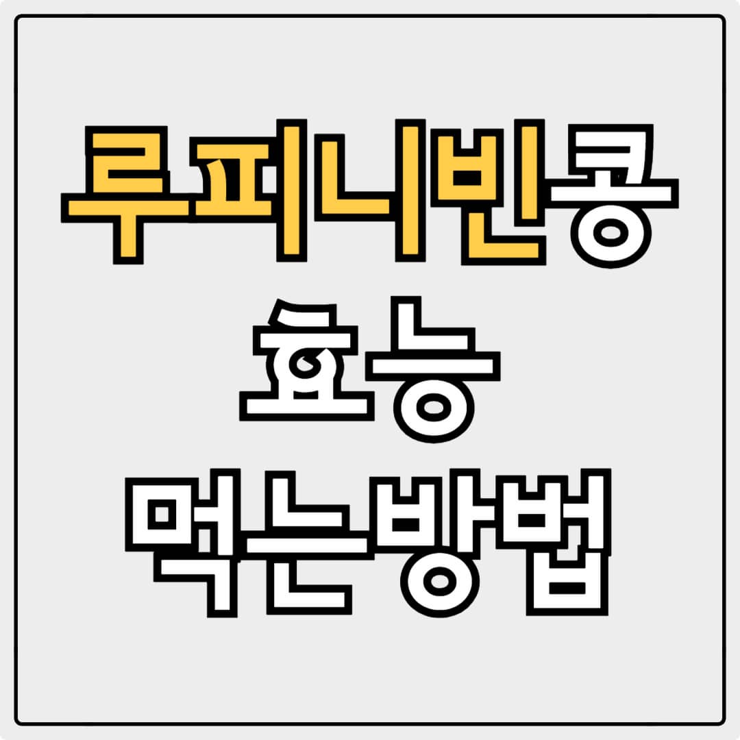 루피니빈 콩 효능 먹는 법 총정리