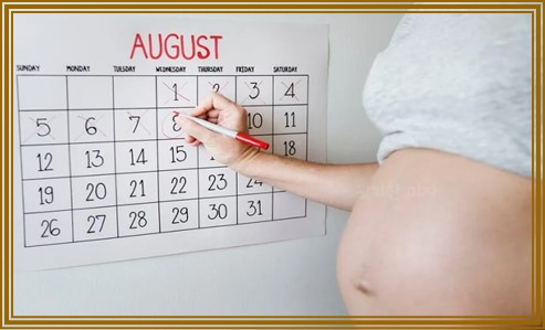 분만예정일 계산법