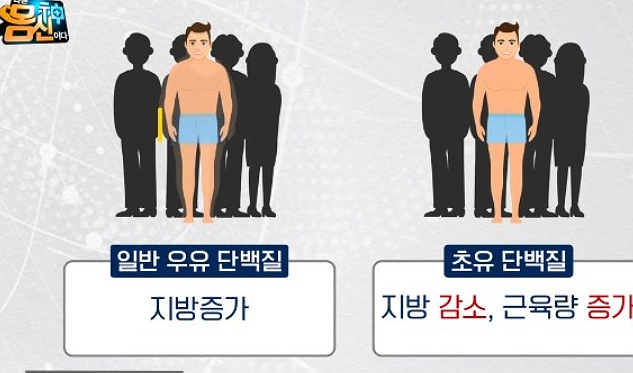 락티움 분말 수면이야기 락티움 가루 효능 부작용