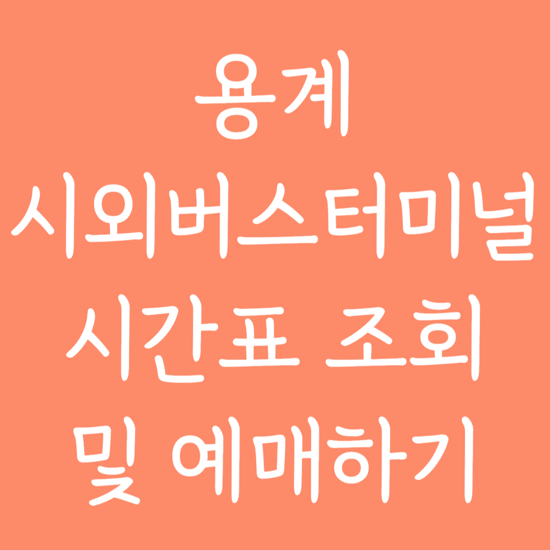 용계 시외버스터미널 시간표조회 및 예매하기