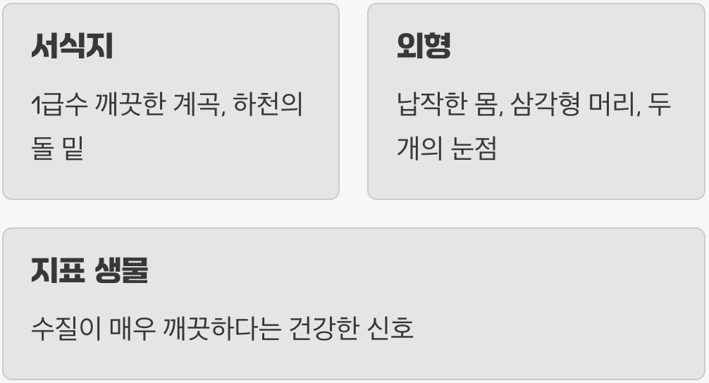 깨끗한 물속에 사는 소박한 생명체