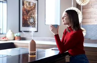 집 공기 관리 미세먼지 차단 및 실내 정화 가이드