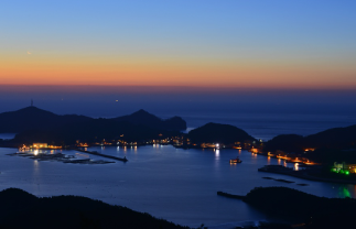 전남 신안 도초도 수국축제