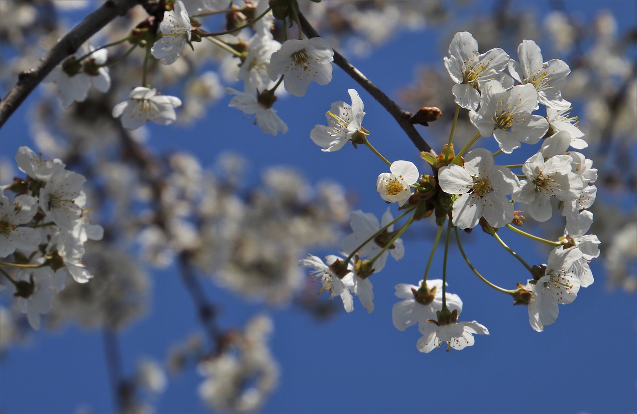 5월 인사말 모음! 40가지 꼭 전하세요