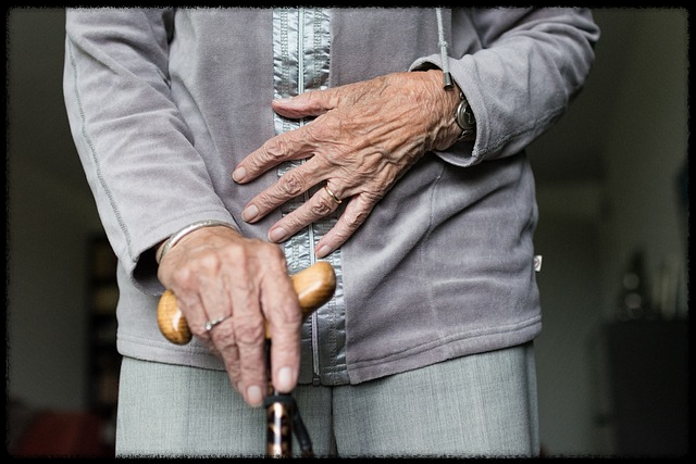 장기요양등급 신청방법 등급 잘받는 꿀팁까지 (총정리)
