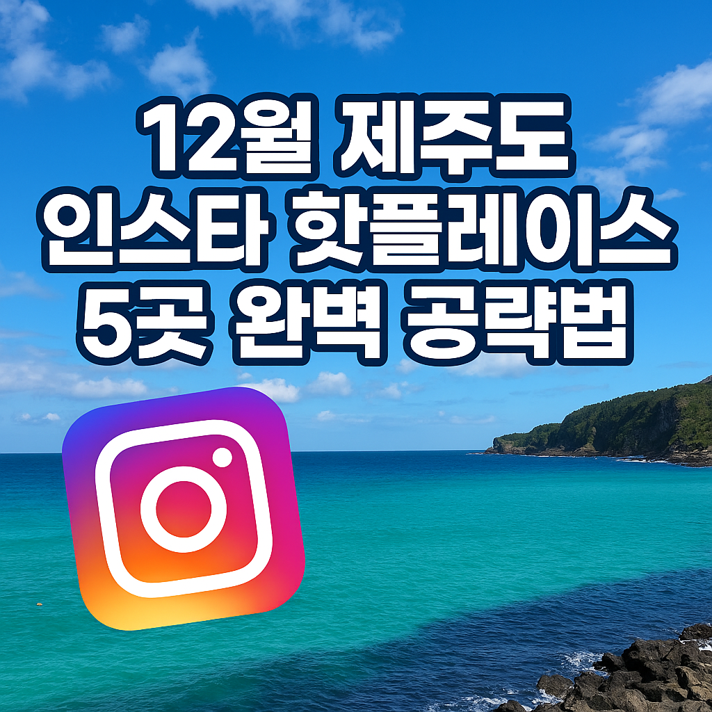 제주 스카이워터쇼 관람권 예매하기