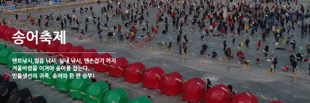 평창송어축제-홈페이지