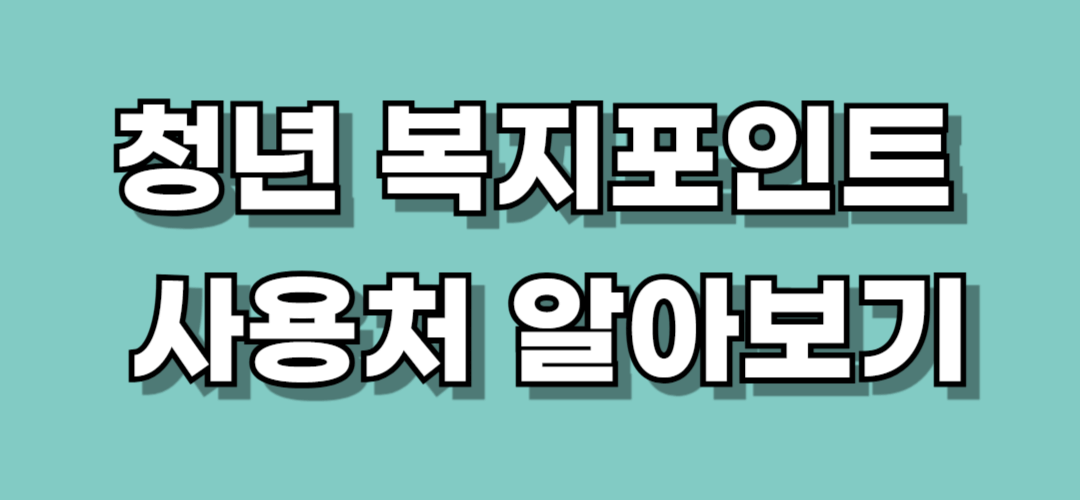 청년 복지포인트 사용처