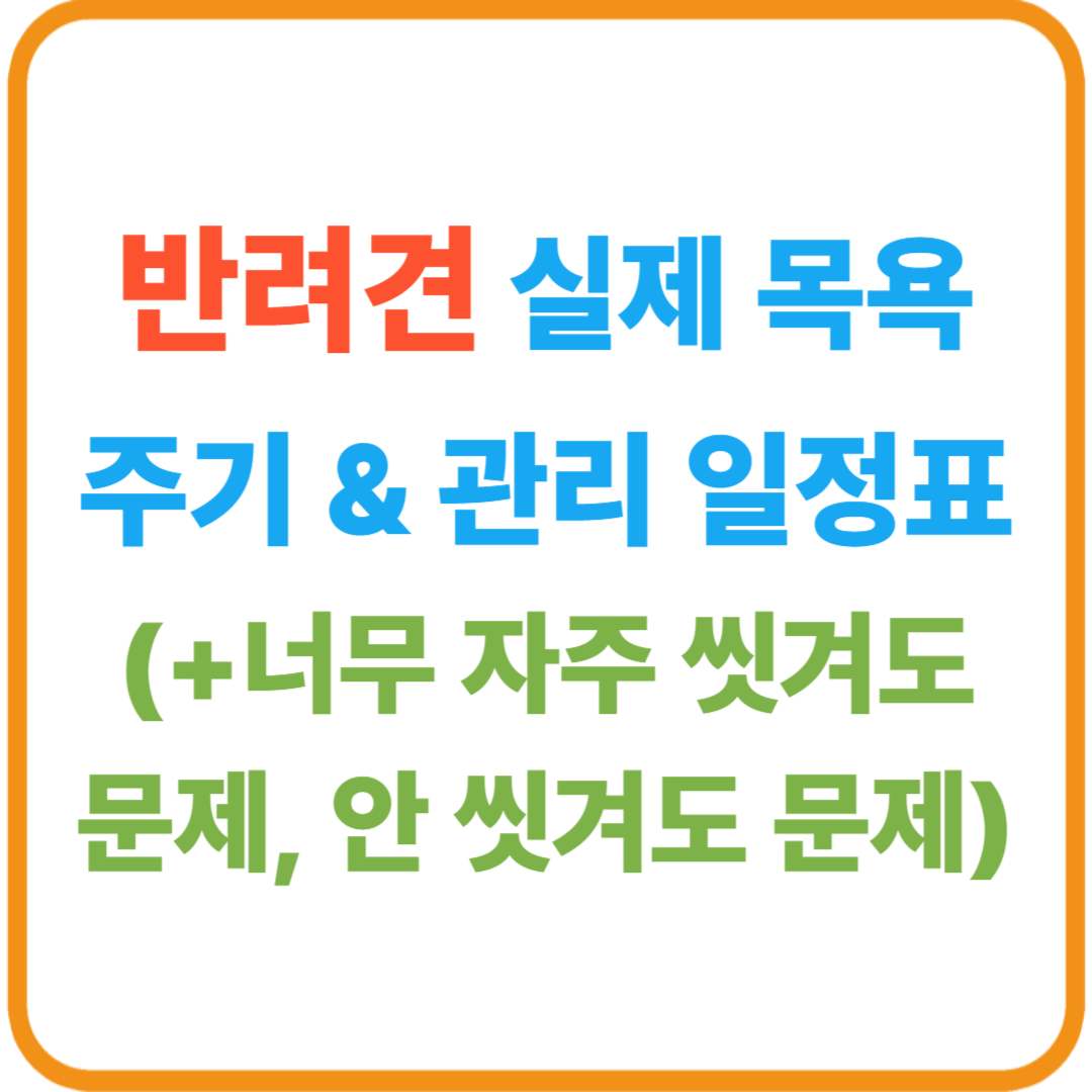반려견 실제 목욕 주기 &amp; 관리 일정표 / 너무 자주 씻겨도 문제, 안 씻겨도 문제였습니다