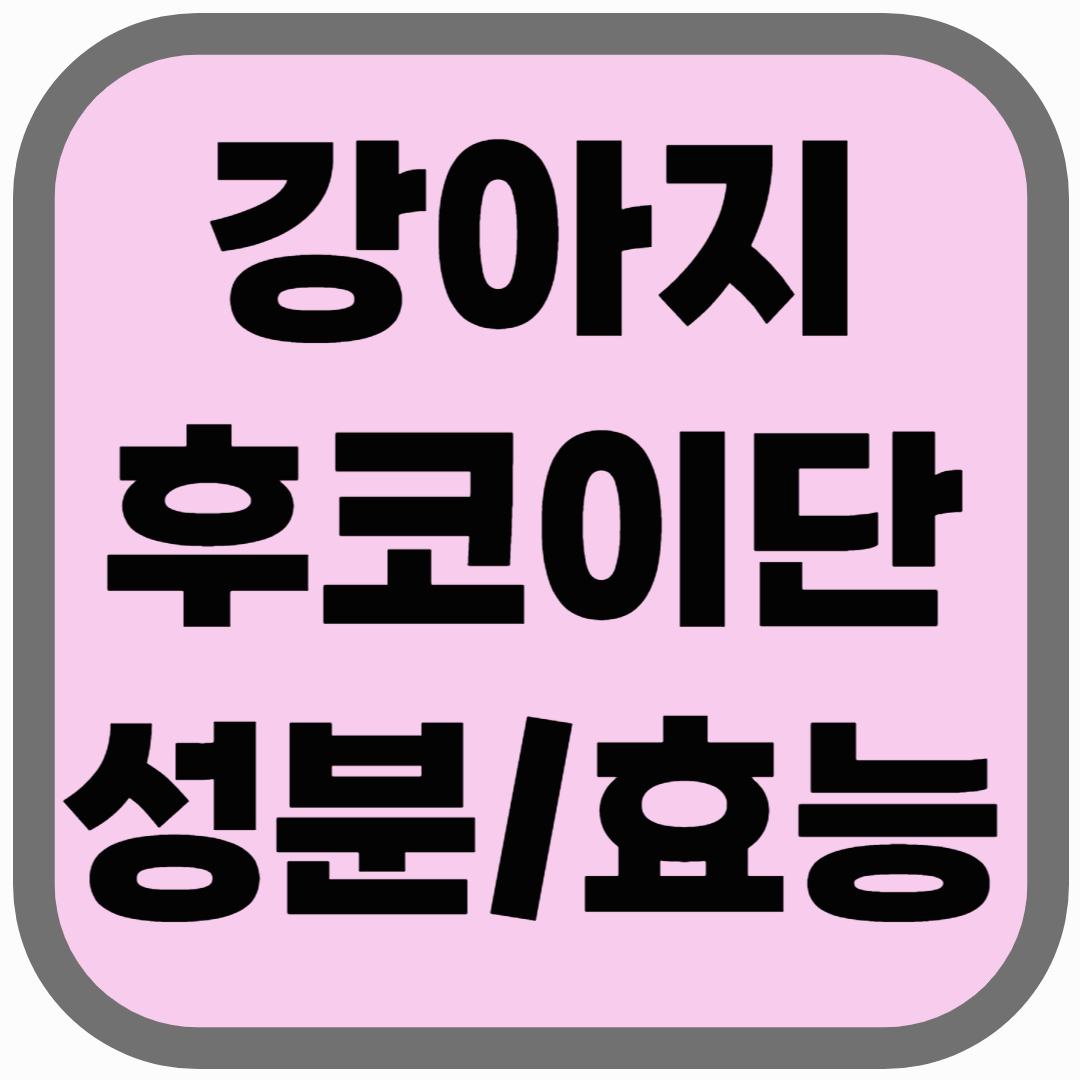 강아지 후코이단! 성분&amp;#44; 효과 제대로 알아보기