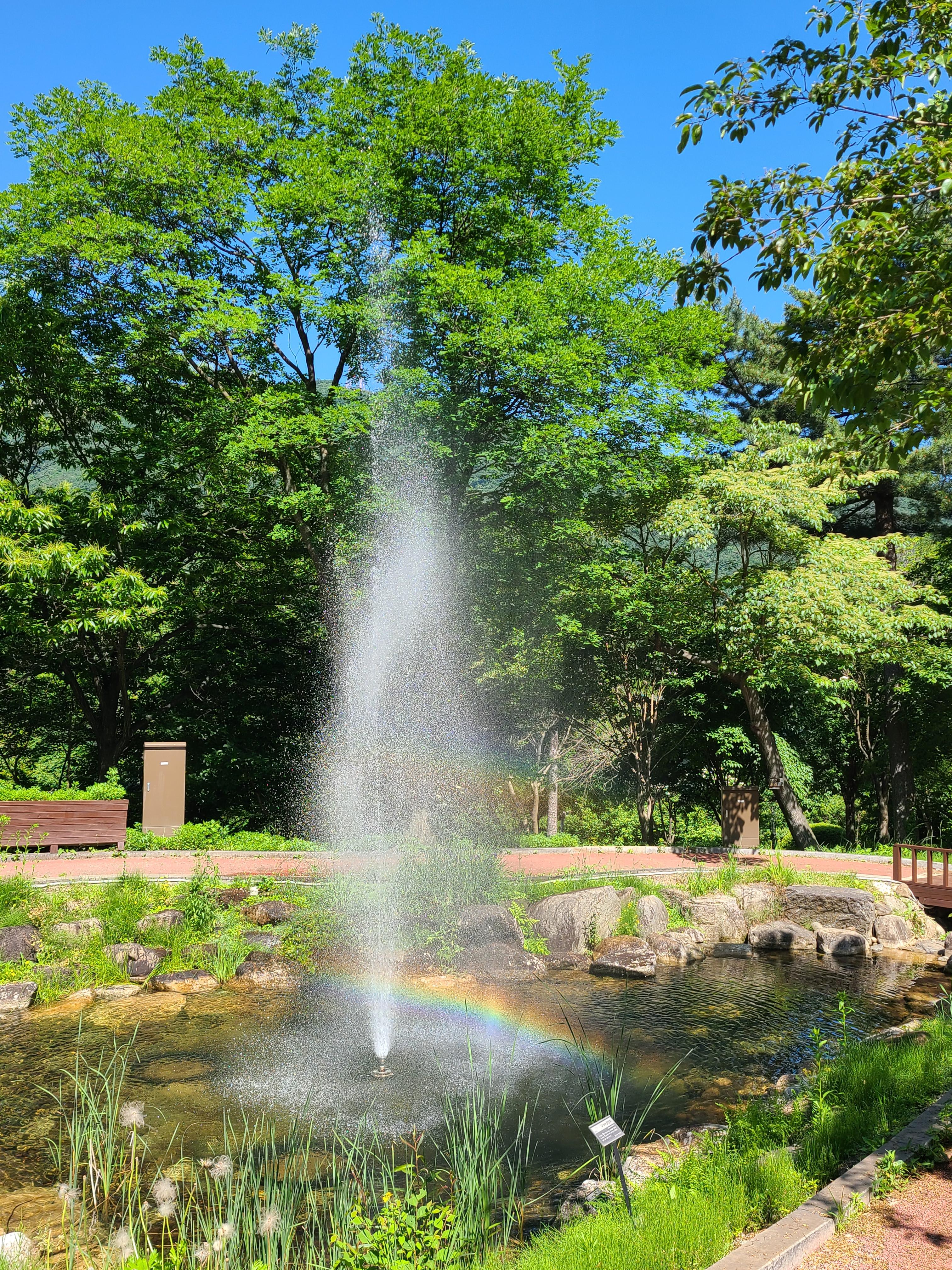 유명산자연휴양림 자생식물원 분수