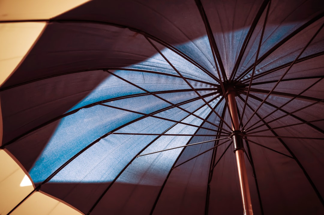 Umbrella