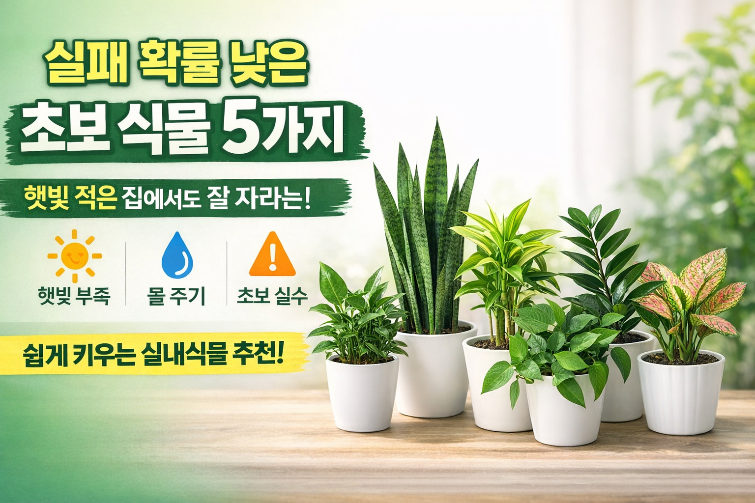 실패 확률 낮은 초보 식물 5가지