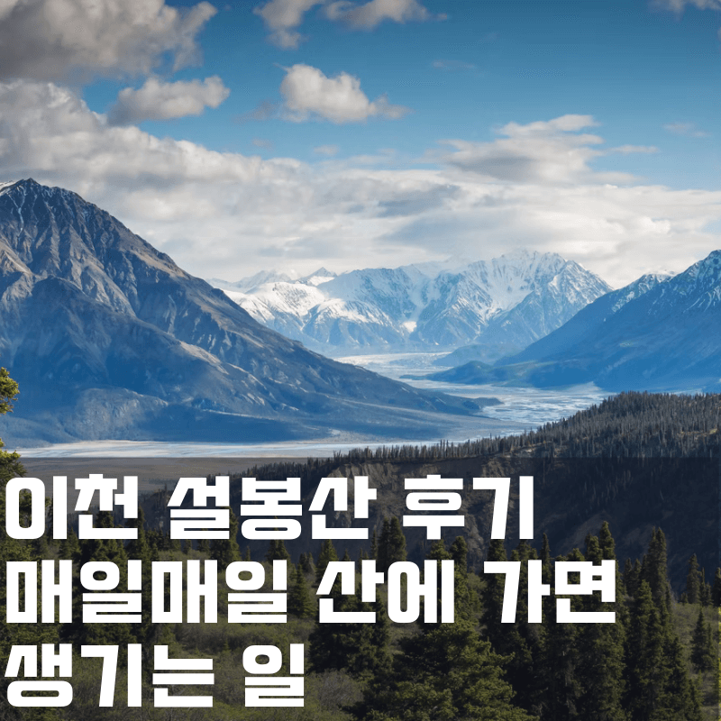 산에 매일 가면 생기는 일