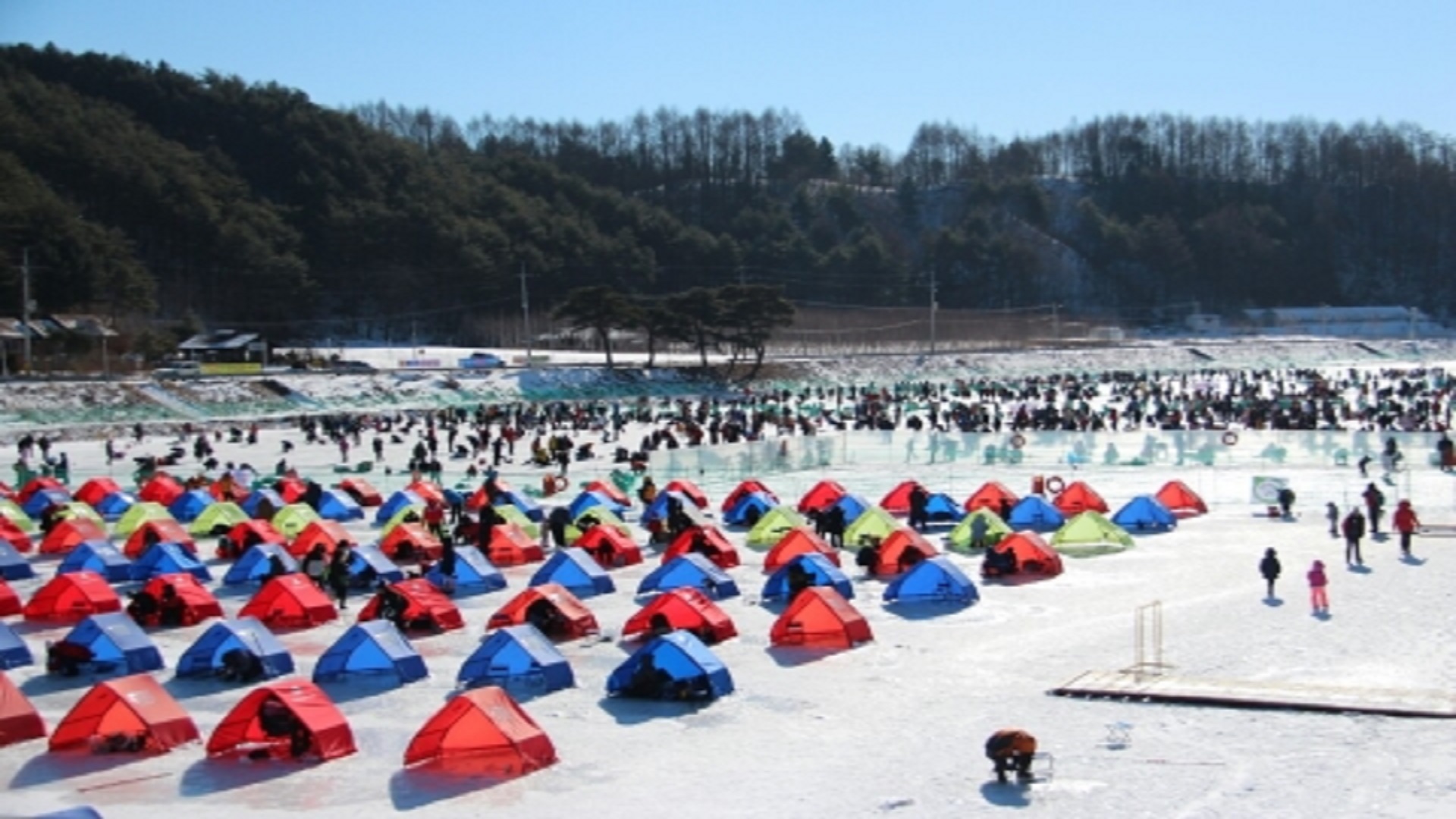 강원도 평창 송어 축제