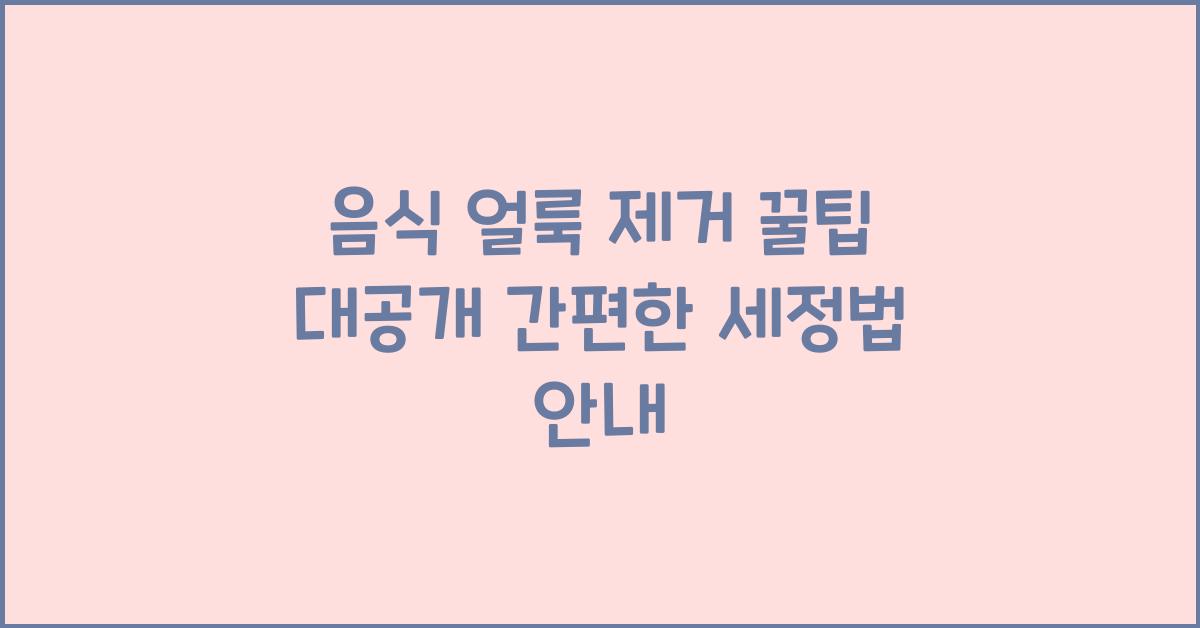 음식 얼룩 제거 꿀팁