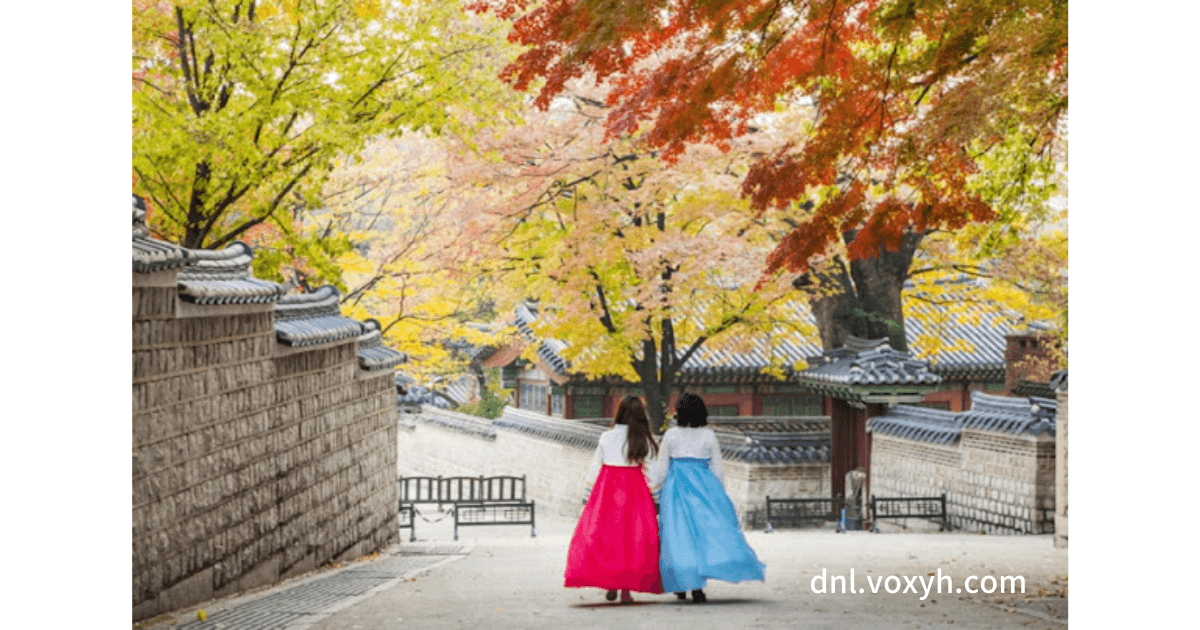 덕수궁 돌담길