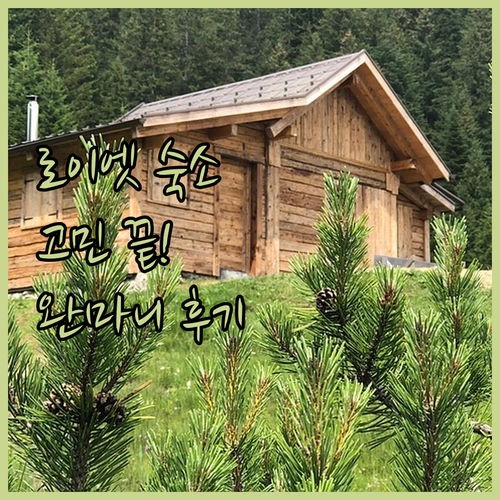 로이엣 숙소 고민 끝! 완마니 리조트..