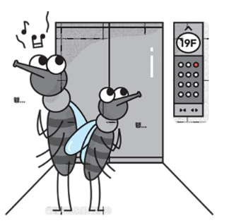 여름철 해충 발생 원인 및 박멸 방법