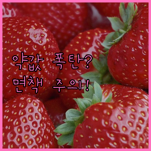 펫보험 약값 보장 기준과 면책기간 확..