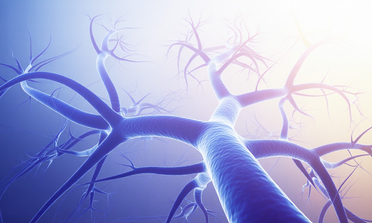 뇌혈관이 안개처럼? 모야모야병