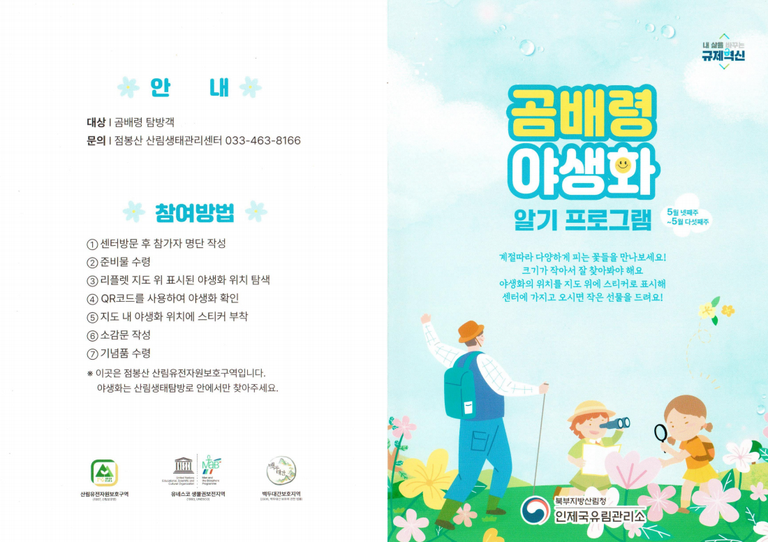 곰배령 예약하기 등산코스 야생화 시기