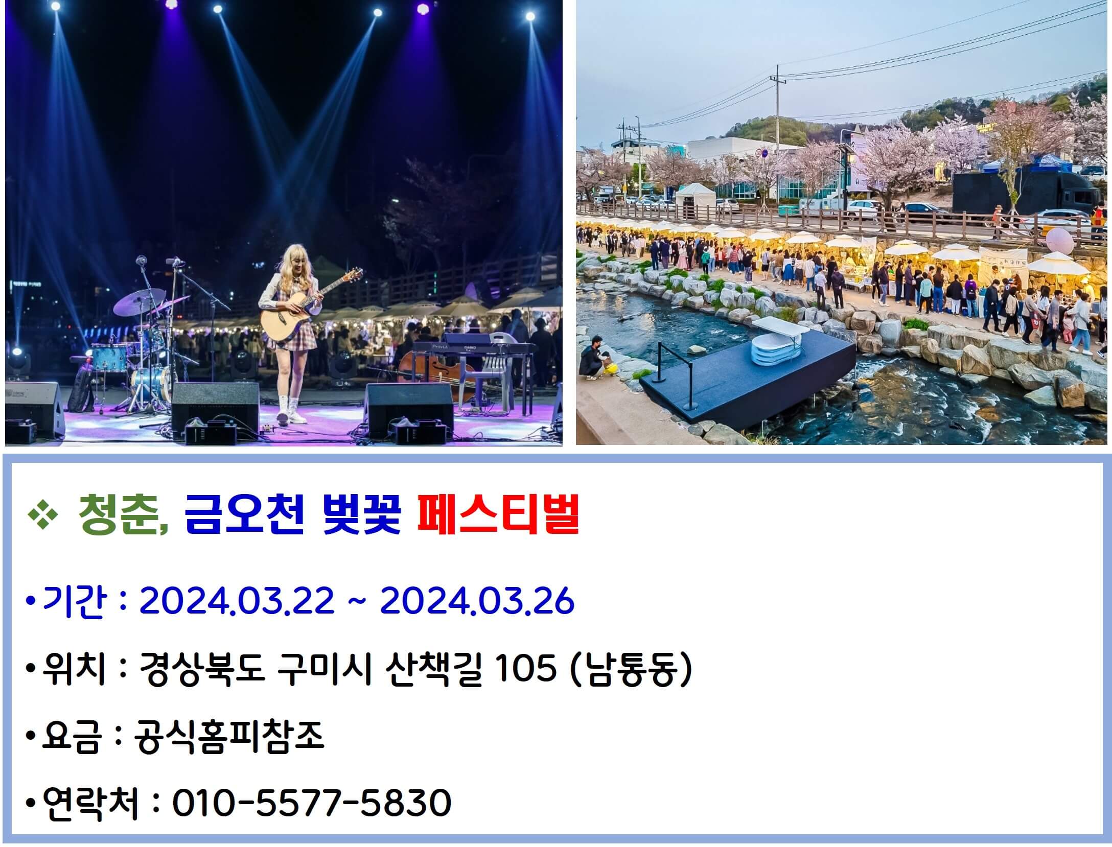 청춘_금오천 벚꽃 페스티벌