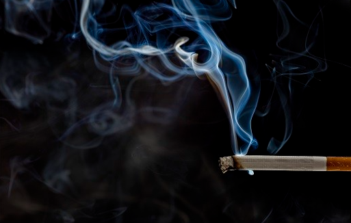 담배는 인지기능 저하유발