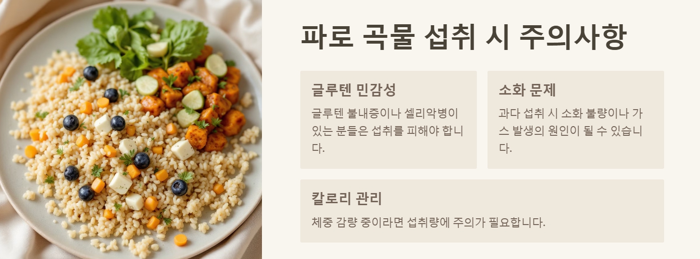 파로 곡물 효능 먹는법 요리