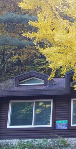 숲나들e 공립 자연휴양림 국내 여행지 추천 지역별 목록 관련사진