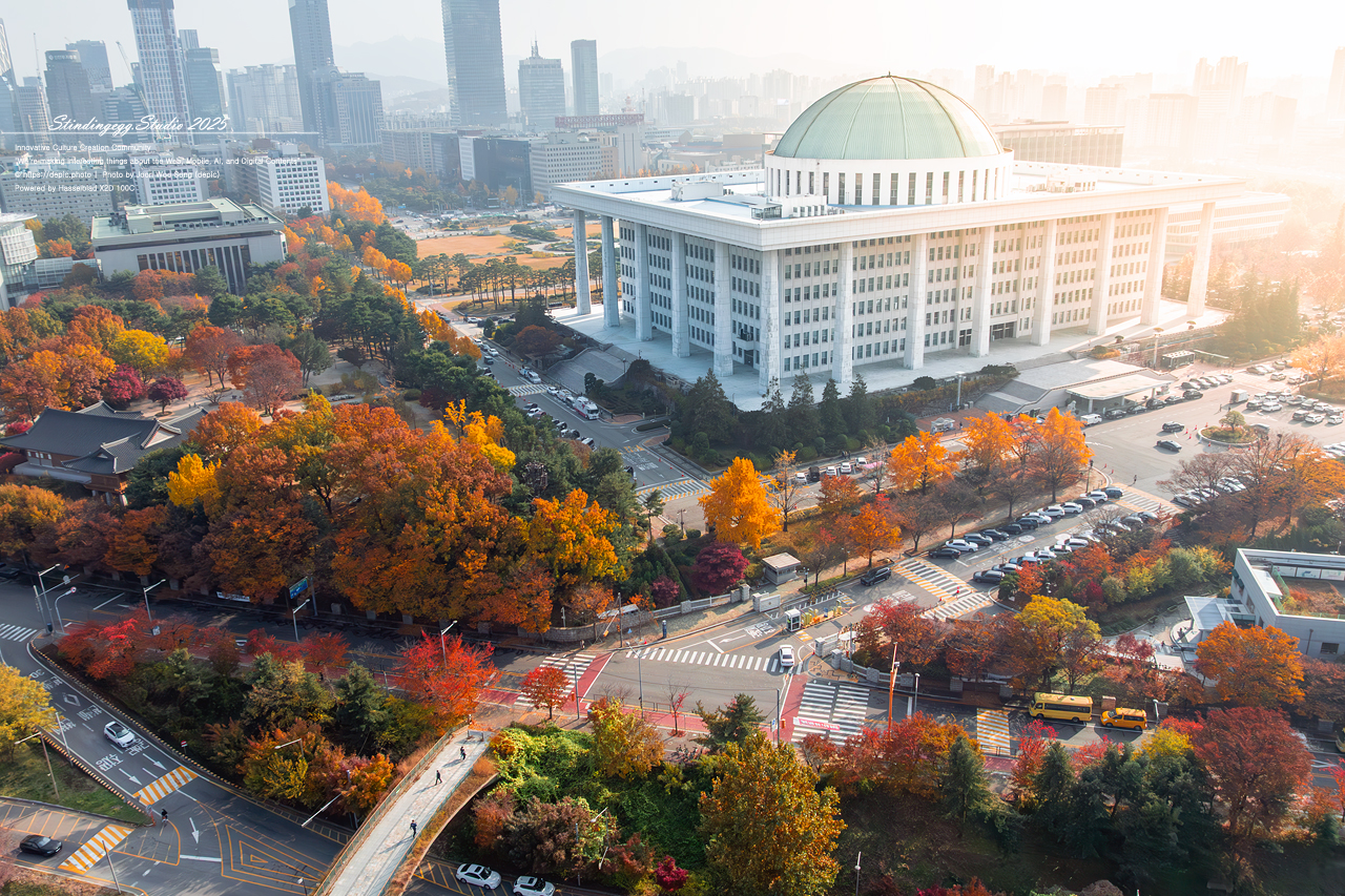 #서울 #여의도 #한강 #국회 #가을 #단풍